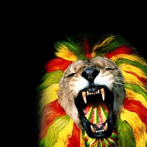 Meet your Posher, Lucy